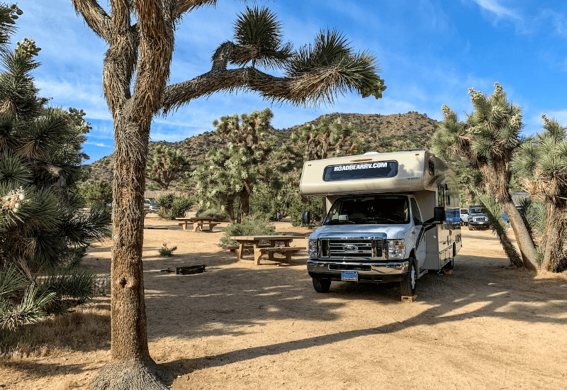 Class C Motorhome Parked in a Desert Campground Surrounded by Joshua Trees