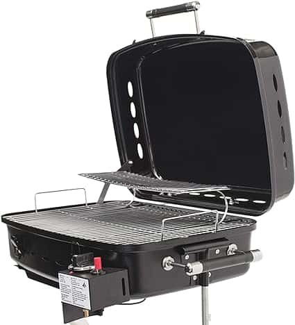 Flame King - RV Or Trailer Mounted BBQ - Motorhome Gas Grill
