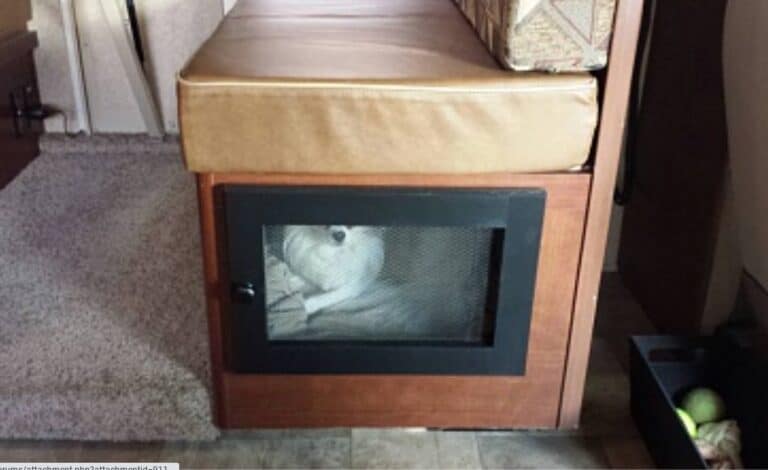 Image showcasing 29 Genius RV Hacks for Dogs Every Pet Owner Needs to Know - RV Owner HQ