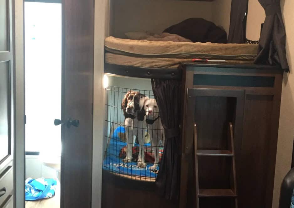 Lower Bunk Dog Crate Modification