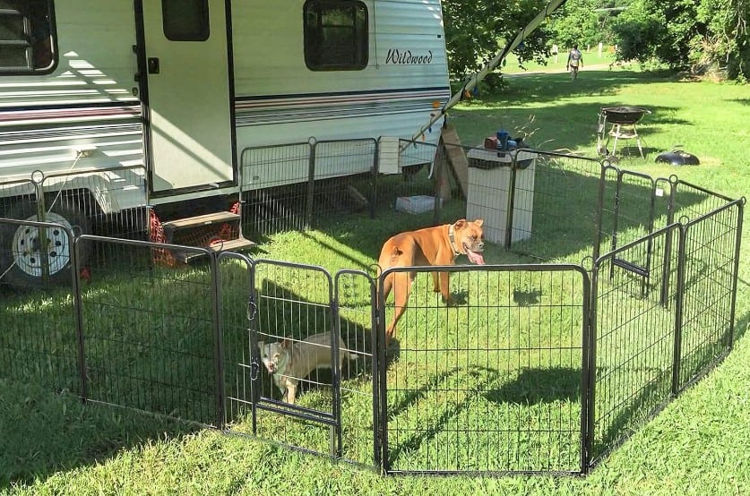 Portable RV Campsite Dog Fence