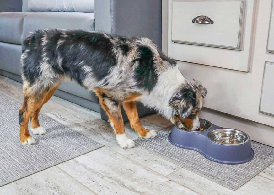 RV Anti-Slip Floor Runners for Dogs