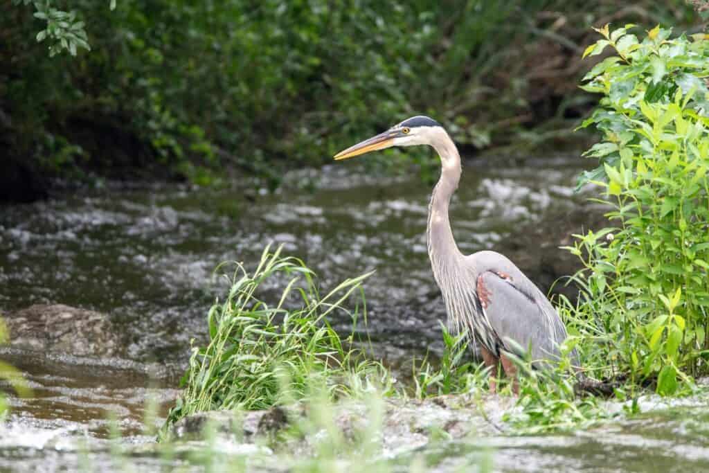 Everglades National Park