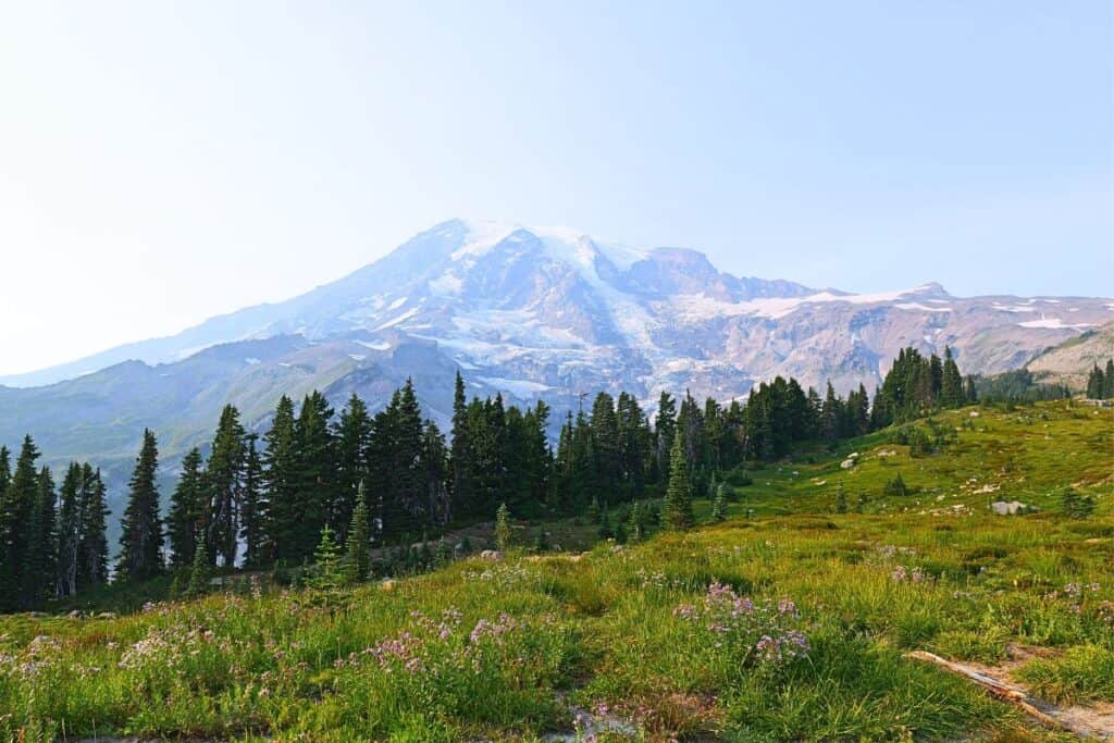 Mount Rainier National Park